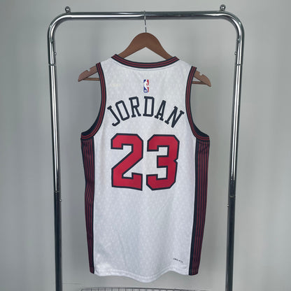 NBA Chicago Bulls 23 (Retro Players)